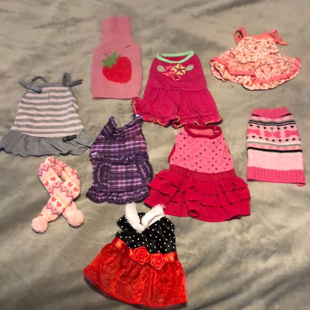 XXS dog clothes